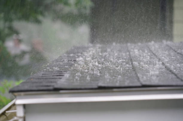 Best Skylight Installation and Repair  in Laurel Park, NC