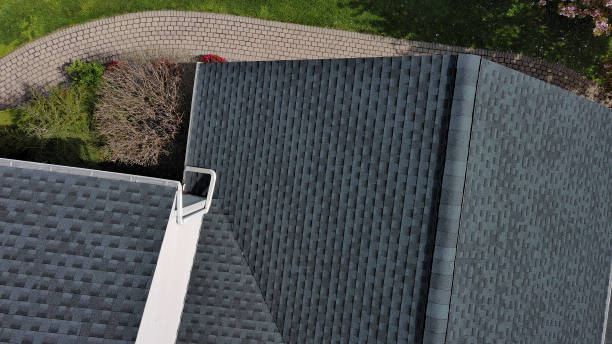 Best Steel Roofing  in Laurel Park, NC
