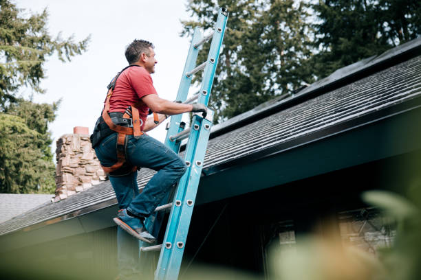 Best Roof Moss and Algae Removal  in Laurel Park, NC